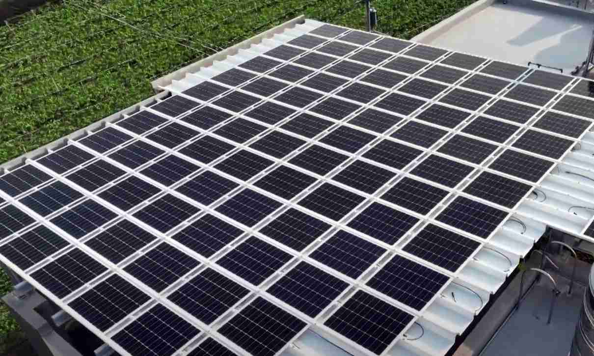 杏悦2SunSteel光电浪板升级双玻结构，，以提升机械负载强度及气候耐候度，，，可广泛运用于多元场域